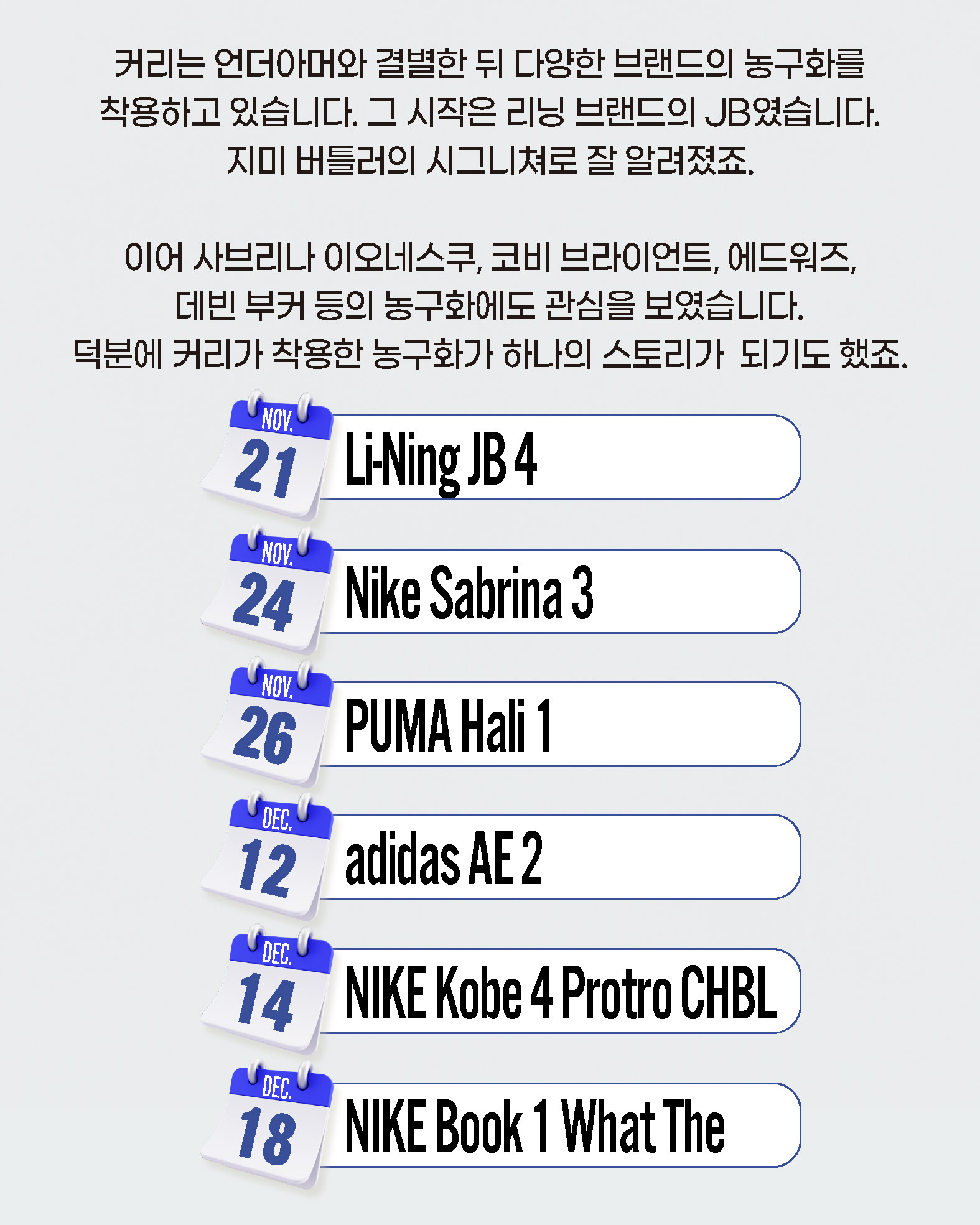 hoopcity 커리 농구화 (4).jpg